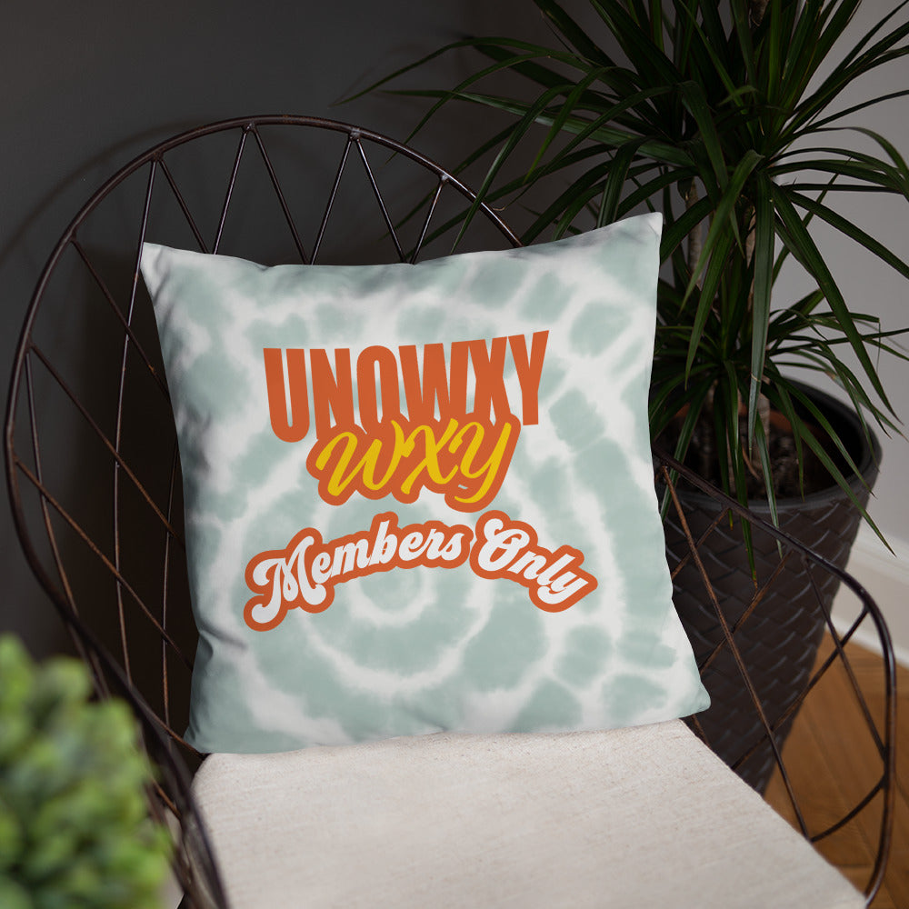 Wxy Pillow