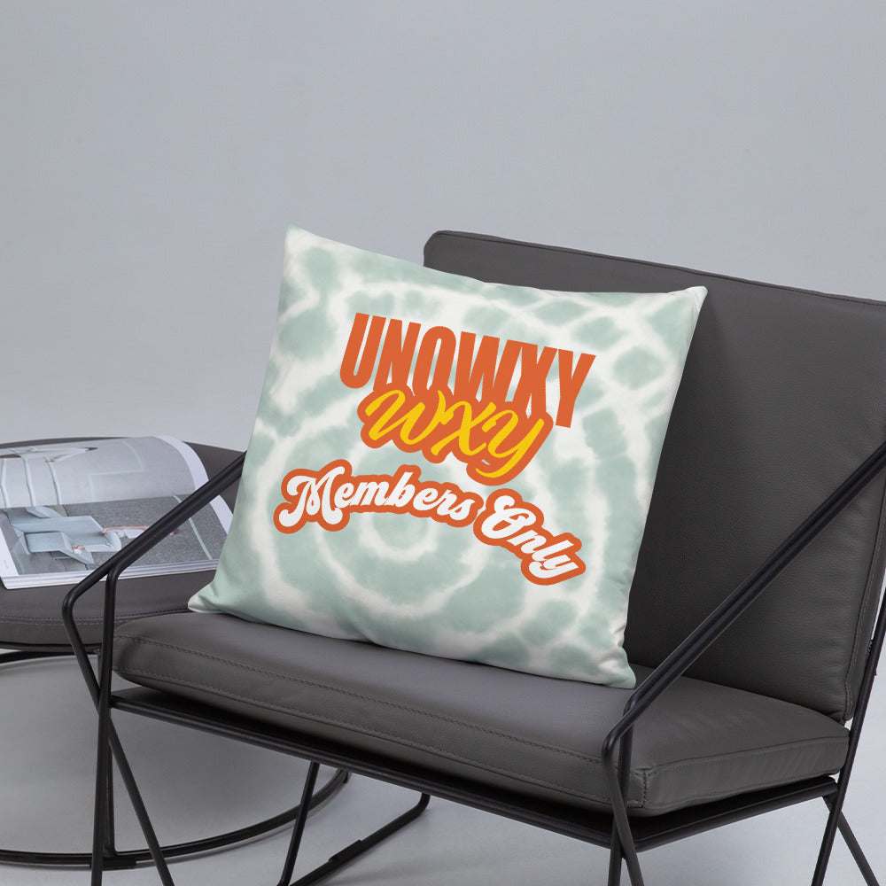 Wxy Pillow