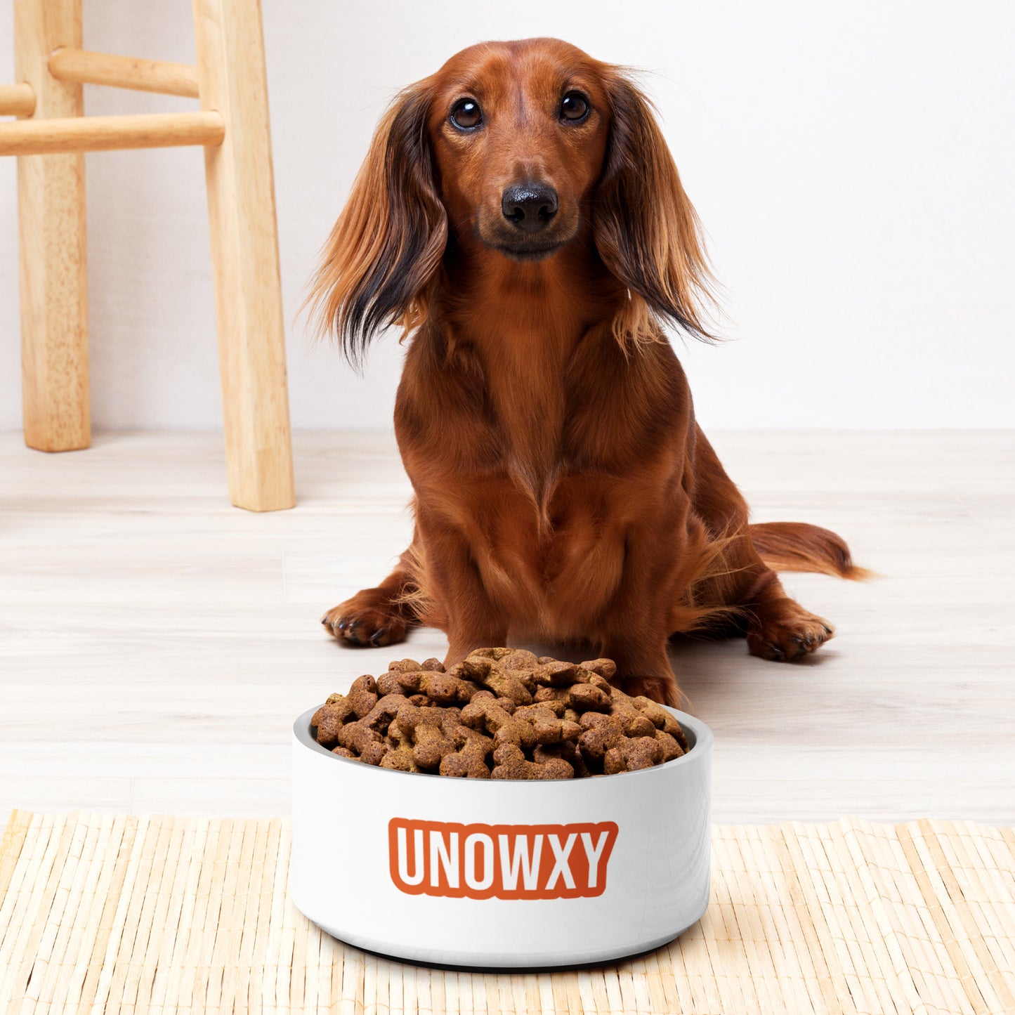 Pet Bowl 🐾